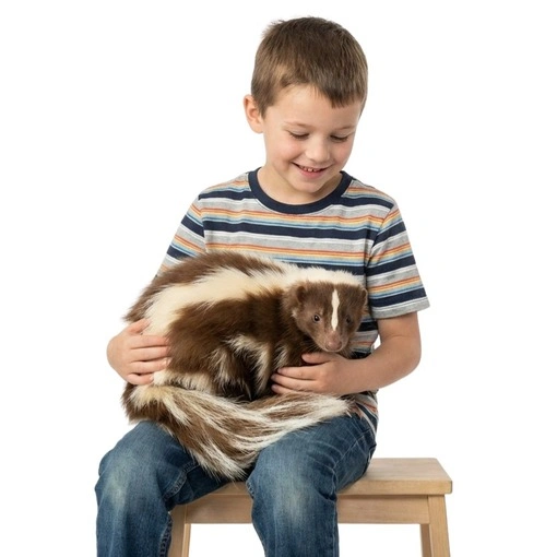 Young boy holding a brown and white skunk