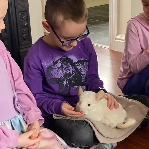 boy holding cloud the chinchilla