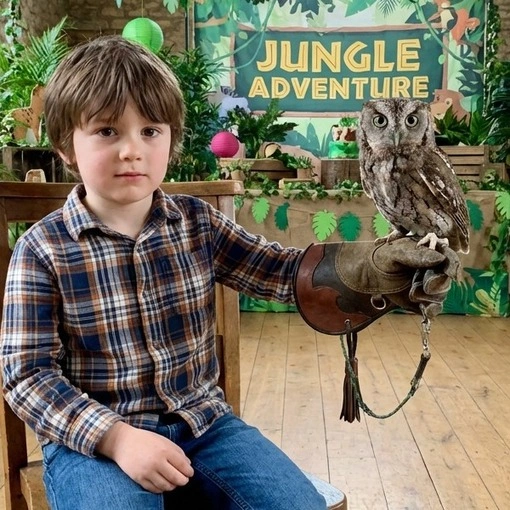 boy holding a western screech owl