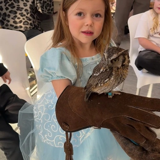 Girl holding fraggle the owl