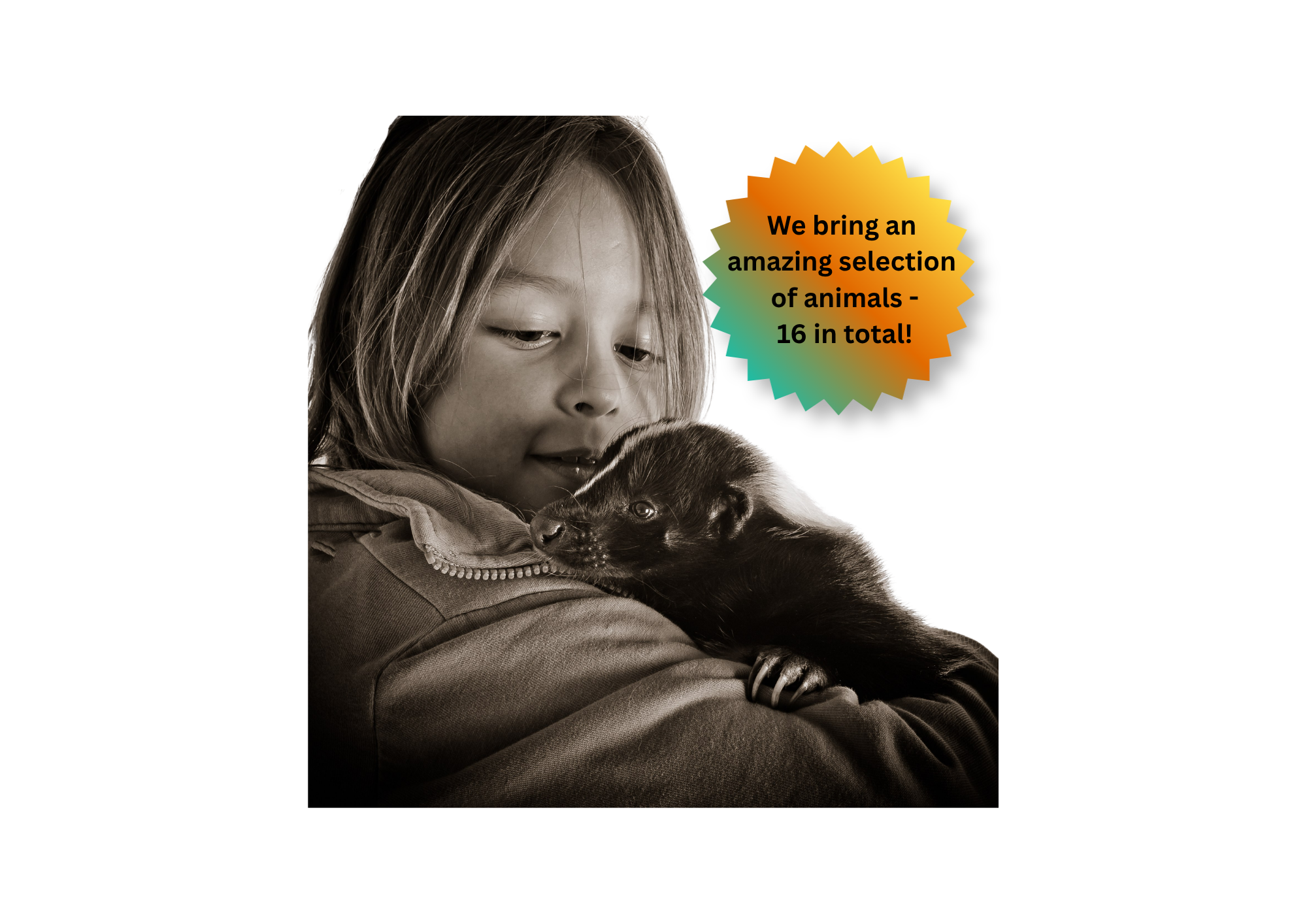 Photo of a girl holding a skunk